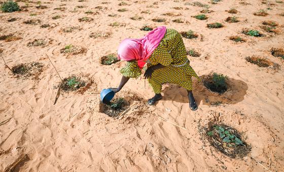 Niger : une situation alimentaire et nutritionnelle toujours inquiétante, selon OCHA
